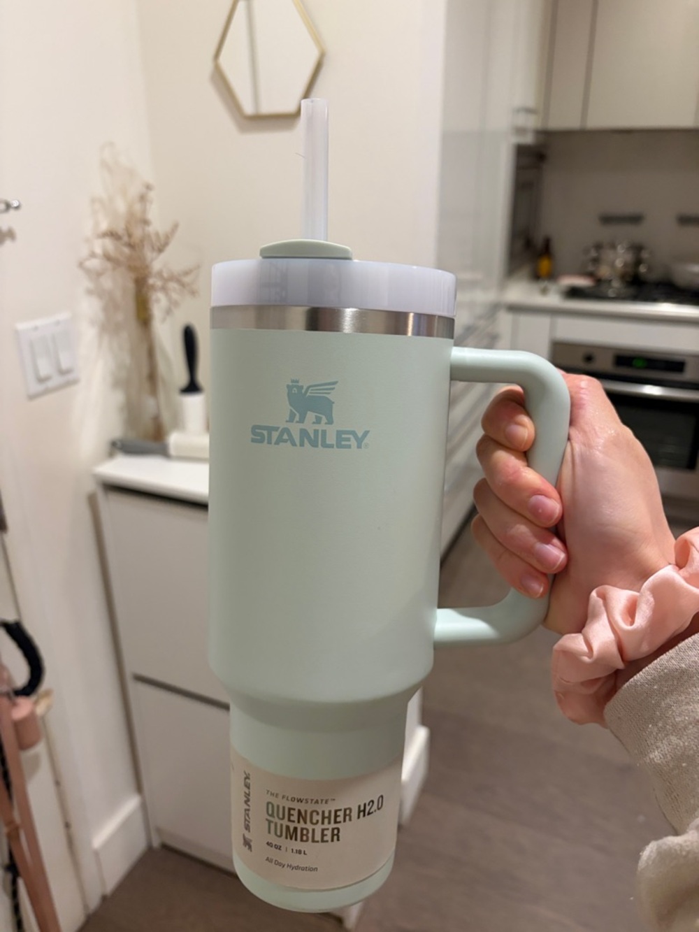Brand New Stanley Mint Green Travel Tumbler with Straw Lid and Handle 40Oz